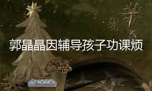 郭晶功课应酬人陪家启刚孩子 霍晶因减少辅导烦躁